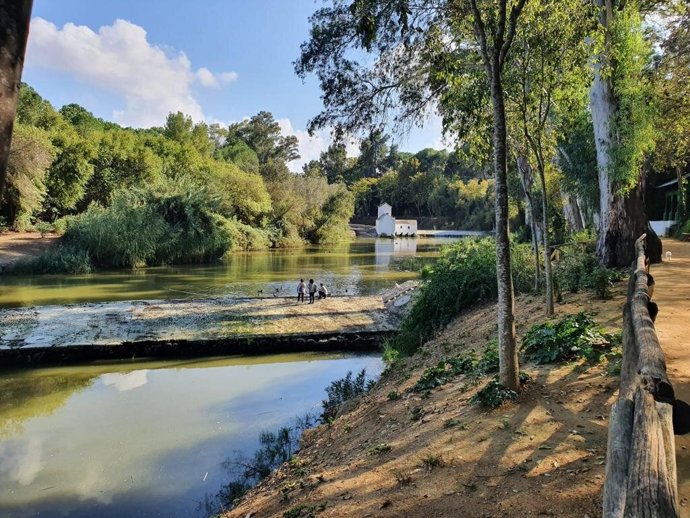 Uno de los márgenes del río Guadaíra.