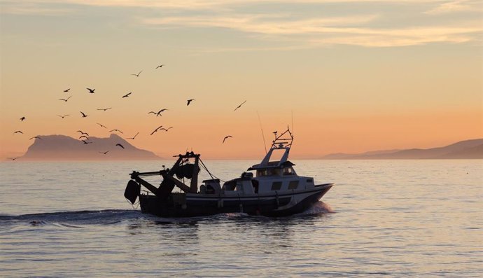 España consigue aumentar la cuota de pesca de caballa, jurel, alfonsinos y rape de Gran Sol de 2021