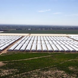 Gonvarri Industries entra en el sector agroalimentario con la adquisición de la israelí Agromega