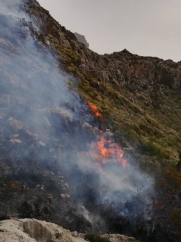 Incendio forestal declarado en la finca de Ariant, en Pollena, a principios de febrero.