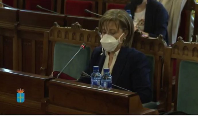 La Fiscal Superior del Principado, María Esther Fernández, comparece en la Junta General.