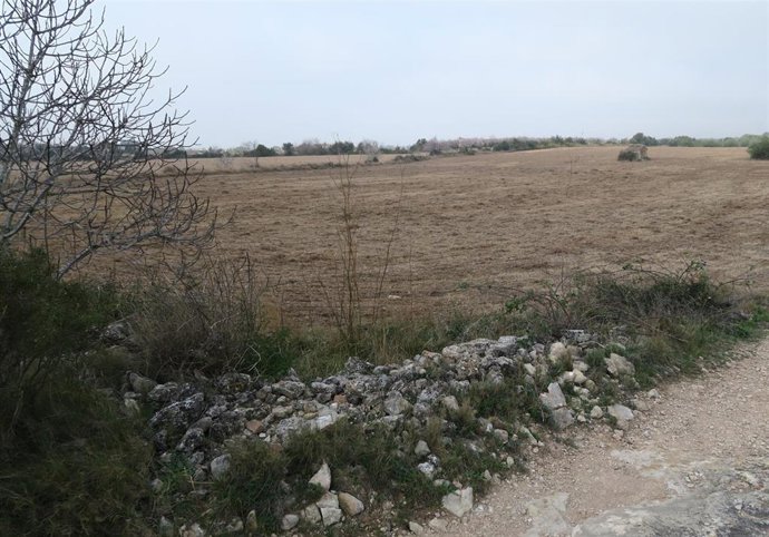 Terreno que la Generalitat alquila