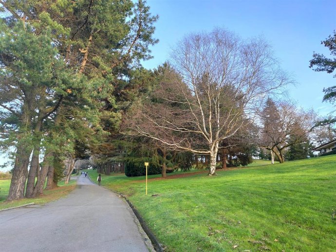 Parque Purificación Tomás