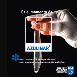 La pesca con sello de certificación aumentó un 50 por ciento en el último año, según MSC.