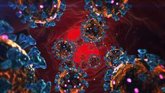 Foto: Investigadores demuestran que unos polímeros son eficaces para inactivar el coronavirus en superficies
