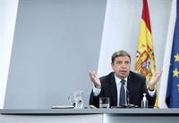 Planas entiende la "inquietud" del sector después de que EE.UU. haya decidido no revisar los aranceles