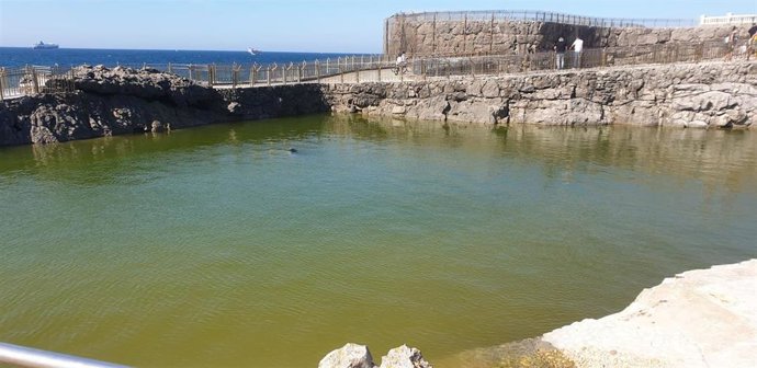 Archivo - FFW invita a Ceruti a debatir sobre el minizoo de la Magdalena