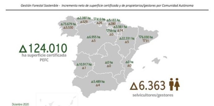 Rural.- El 60% de la superficie incorporada a la certificación forestal PEFC en 2020 en España corresponde a Galicia