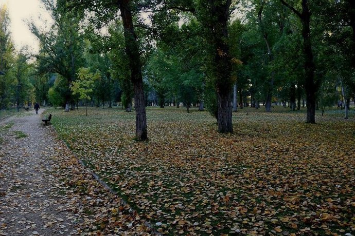 El Ayuntamiento de Almazán (Soria) prepara una audioguía para conocer La Arboleda