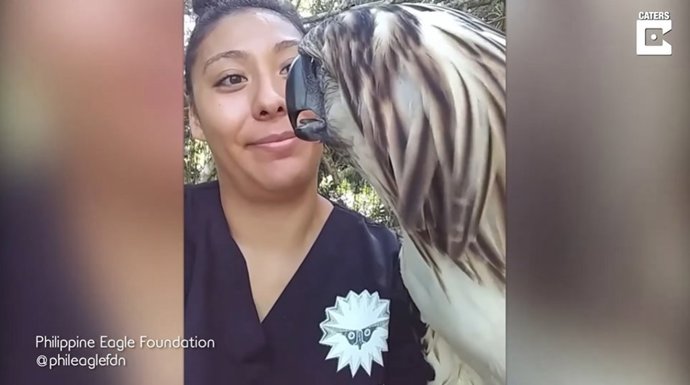 Esta mujer ha creado un asombroso vínculo de amistad con un águila en peligro de extinción muy territorial y agresiva