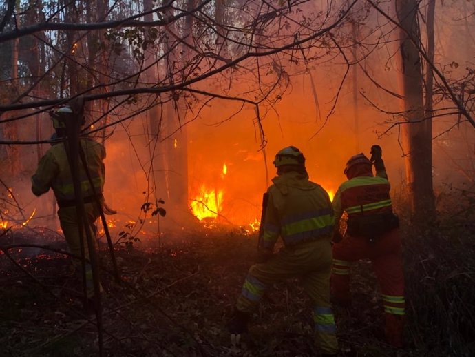 Archivo - Cantabria notificó en 2020 al CENEM 18 incendios forestales, ninguno con consecuencias para población o bienes