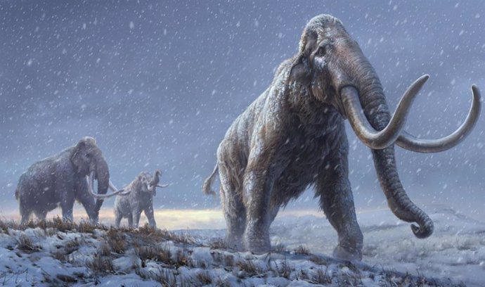 Ciencia.-El ADN más antiguo del mundo revela cómo evolucionaron los mamuts