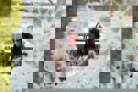 Villacís cuestiona "qué tiene de antifascista" tirar adoquines a un policía durante la concentración en Sol por Hasel