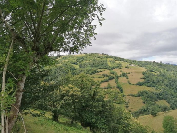 Archivo - Los españoles viajaron un 30,2% menos hasta marzo por la crisis sanitaria y gastaron un 22,6% menos