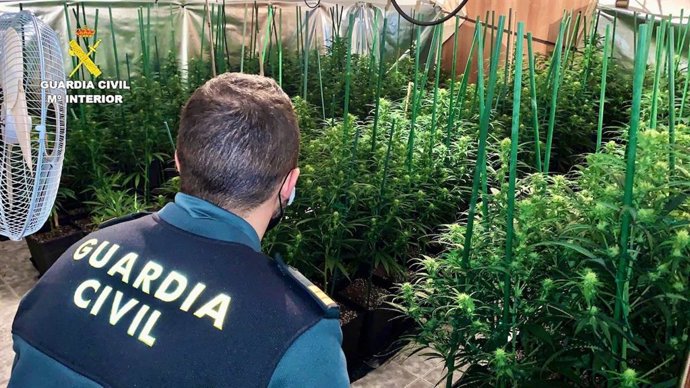 Sucesos.- Más de 70 personas detenidas e investigadas en operaciones antidroga de la Guardia Civil en Cáceres en 6 meses