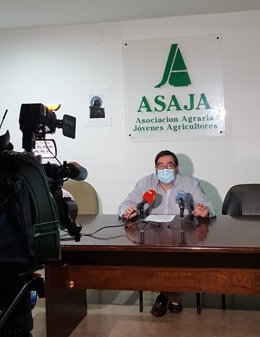 Organizaciones agrarias de Extremadura anuncian tractoradas tres viernes en la A-5 en defensa del sector tabaquero