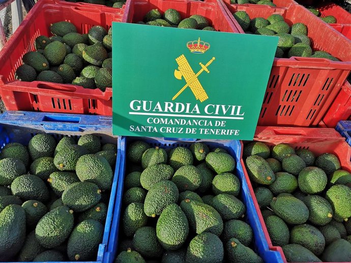 Archivo - Sucesos.- Investigados por el robo de 6.000 kilos de aguacates en Güímar (Tenerife)