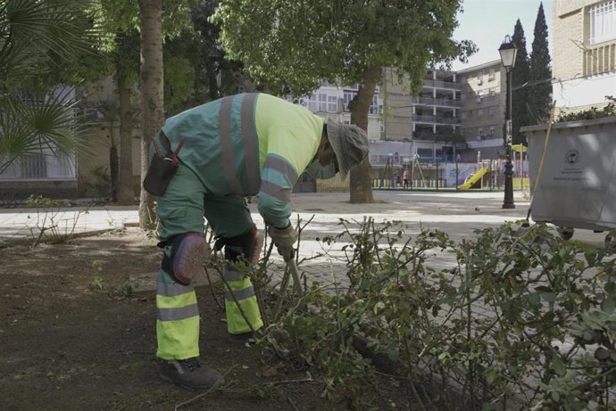 Trabajos de limpieza en Mairena