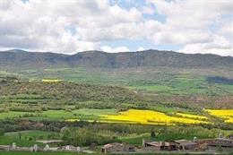 Campos de cultivo en Catalunya