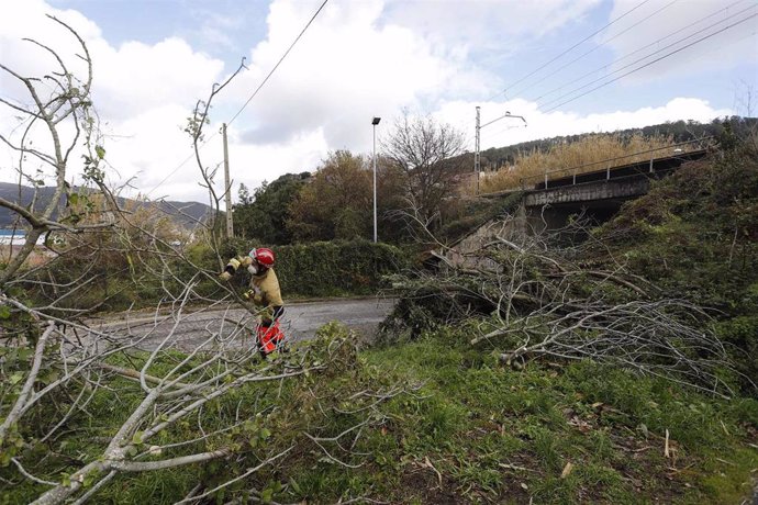 Un operario trabaja en la recogida de la vegetación caída en una zona ubicada en Redondela, Pontevedra