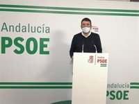 PSOE pide a la Junta que actúe en materia de vivienda e inclusión tras el incendio de Palos (Huelva)