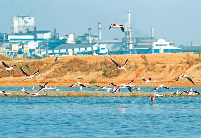 Instalaciones de Atlantic Copper.