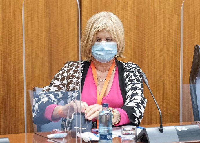 La exdirectora general de Formación Profesional, Autónomos y Programas para el Empleo de la Junta María Teresa Florido, en la comisión de investigación de la Faffe creada en el Parlamento andaluz.