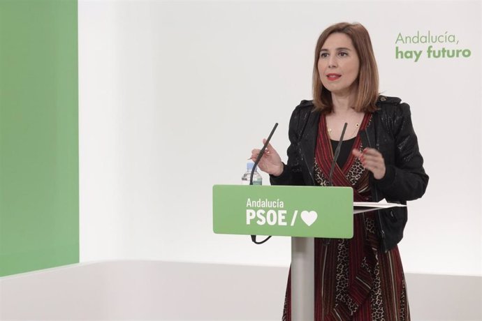 Imagen de este viernes de la rueda de prensa de la diputada del PSOE, Beatriz Rubiño.