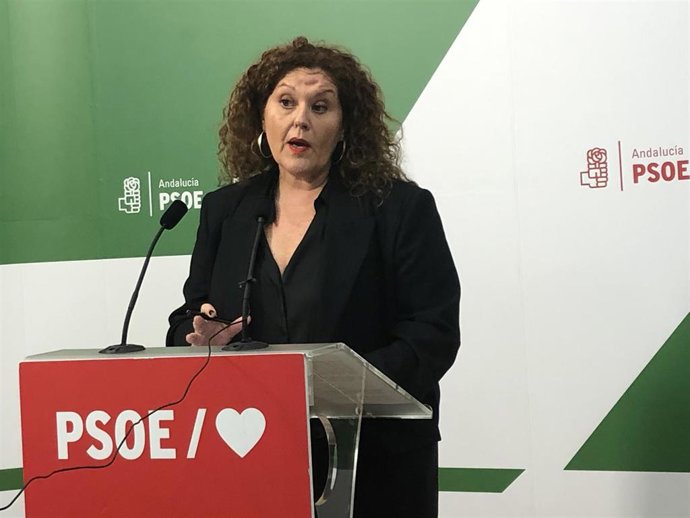 Archivo - Araceli Maese, parlamentaria del PSOE por Cádiz, en una foto de archivo.