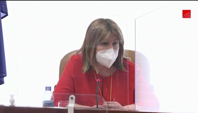 La alcaldesa de Alcorcón, Natalia de Andrés, durante su comparecencia en la comisión de Residencias de la Asamblea de Madrid