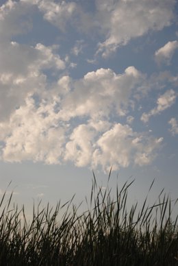 Archivo - Nubes, nublado, cielo cubierto