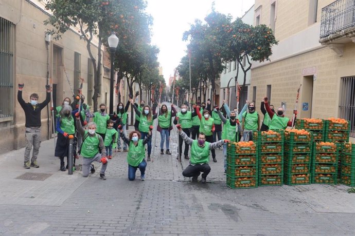 Un total de 25 voluntaris de diverses entitats del districte barceloní de Sant Andreu recullen taronges dels arbres dels carrers per transformar-les en melmelada.