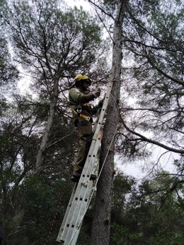 Un miembreo del personal de S'Albufera des Grau instalando cajas nido para murciélagos.