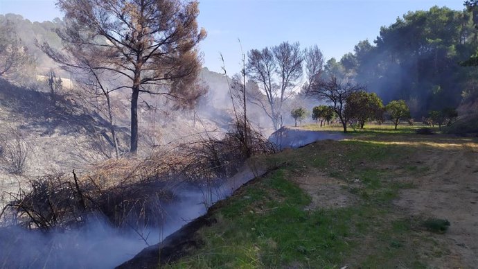 Incendio forestal en el Torrent de s'Aigua, en Ibiza.
