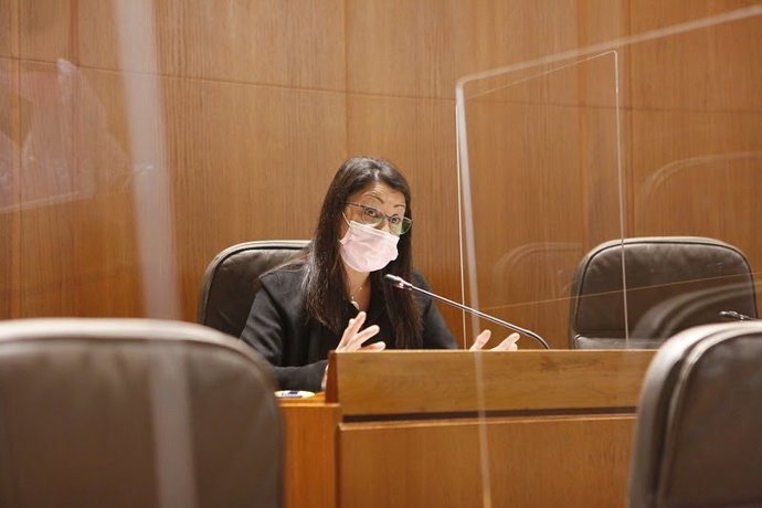 Cs reclama al Gobierno de Aragón medidas que frenen el incremento de los índices de pobreza en la comunidad.