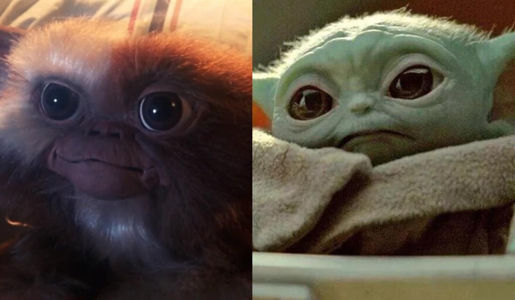 Gizmo vs Baby Yoda: ¿Quién es más adorable?