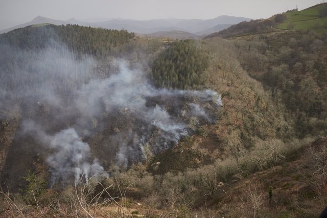 Terreno del incendio en AuzoBerri, Navarra