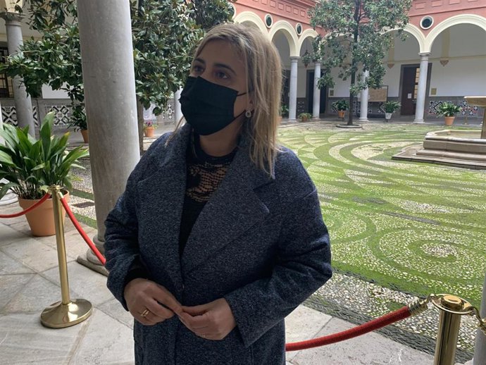 Granada.-PSOE pide al alcalde (Cs) que "no tire los precios de la ayuda a domicilio" en el contrato a punto de adjudicar