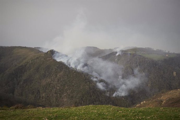 Parte del incendio situado en terreno de Guipúzcoa en AuzoBerri, Navarra (