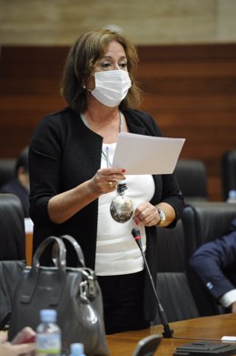La diputada del PP Consuelo Rodríguez Píriz en una intervención en la Asamblea de Extremadura