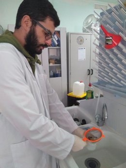 El investigador José Manuel Cabezas trabajando en el laboratorio.