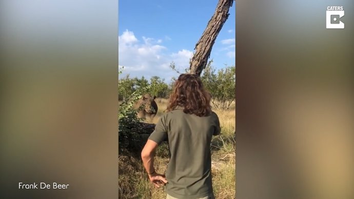 Un hombre consigue ahuyentar a un rinoceronte a punto de embestirle utilizando únicamente su voz