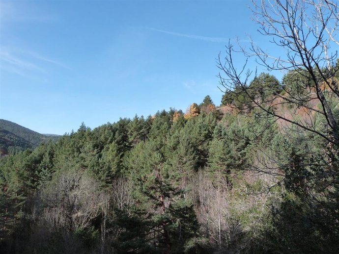 Archivo - Paisaje del Parque Natural de Sierra Cebollera, en La Rioja