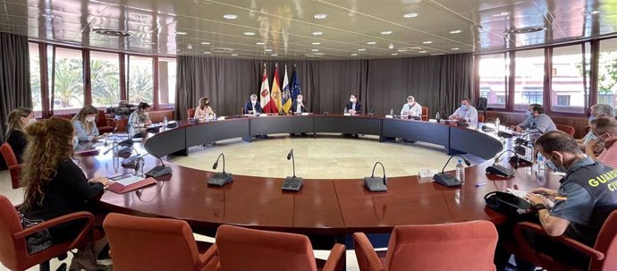 Reunión de coordinación celebrada en el Cabildo de La Gomera para abordar el plan de vacunación