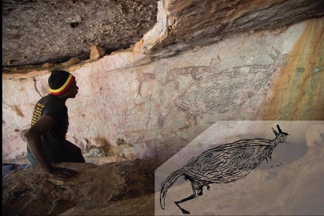 Un aborigen inspeccionando una pintura naturalista de un canguro, que se determinó que tiene más de 12,700 años según la edad de los nidos de avispas de barro superpuestos. El recuadro es una ilustración de la pintura.