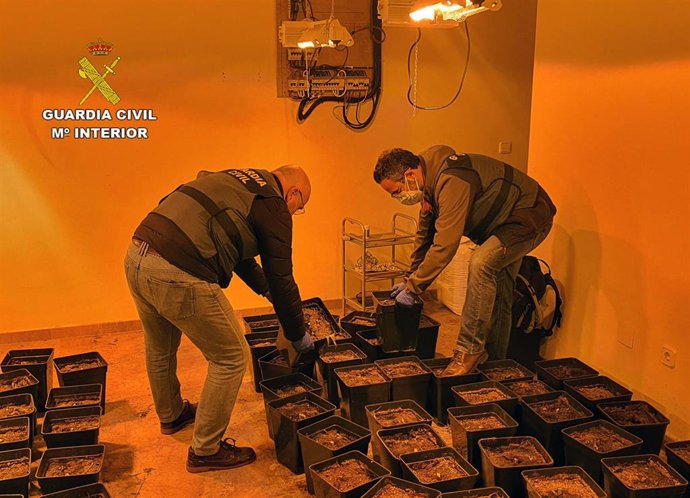 Imagen del invernadero intervenido en el chalet de La Manga