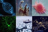 Foto: El CSIC lanza 14 desafíos para ampliar el conocimiento sobre la vida, la materia, el cerebro y las enfermedades