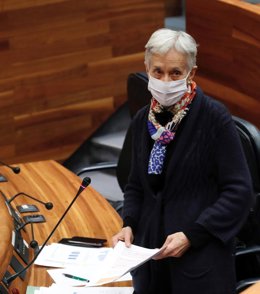 La consejera de Educación, Carmen Suárez, en la Junta General.