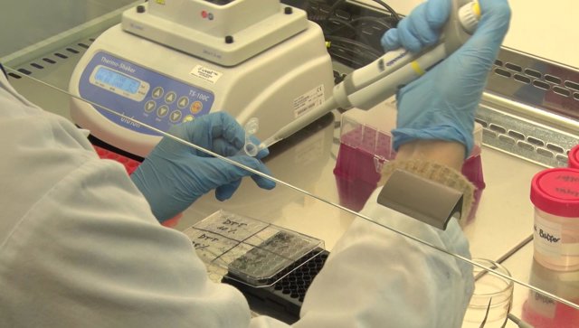 test de deteccción "rápido y barato" de Nuevo test rápido de la UPV, el IIS La Fe y el CIBER-BBN