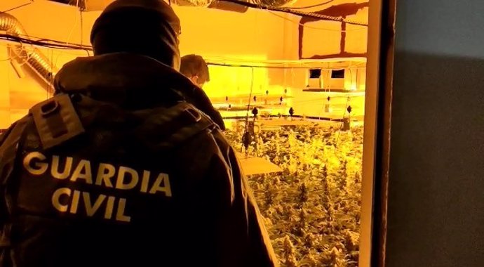 Desarticulado un centro de producción de marihuana en Granada